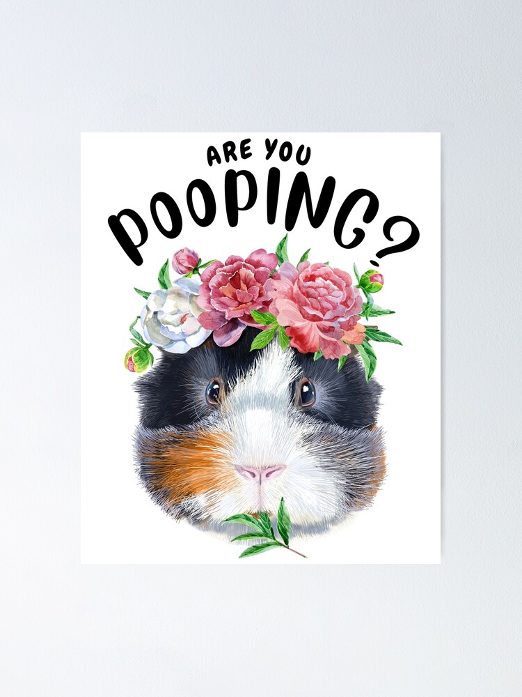 "Guinea Pig Are You Pooping Bathroom Print Guinea Pig Art Guinea