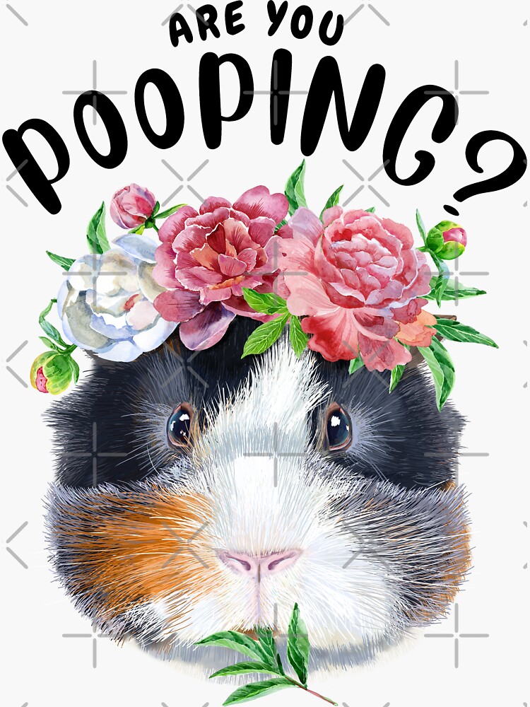 "Guinea Pig Are You Pooping Bathroom Print Guinea Pig Art Guinea