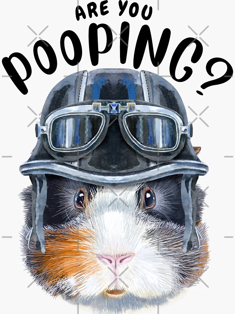 "Guinea Pig Are You Pooping Bathroom Print Guinea Pig Art Guinea