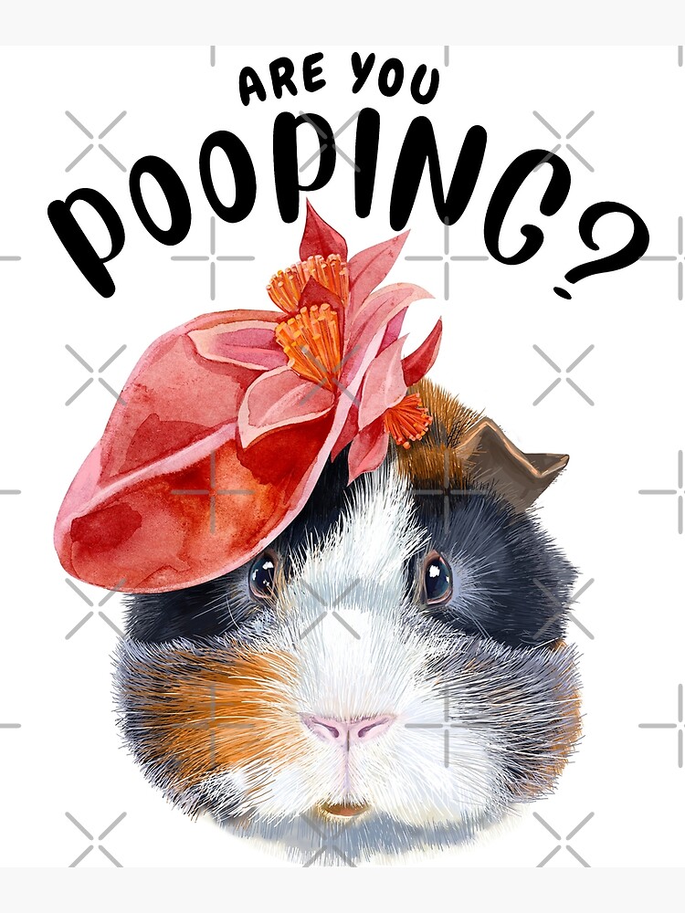 "Guinea Pig Are You Pooping Bathroom Print Guinea Pig Art Guinea