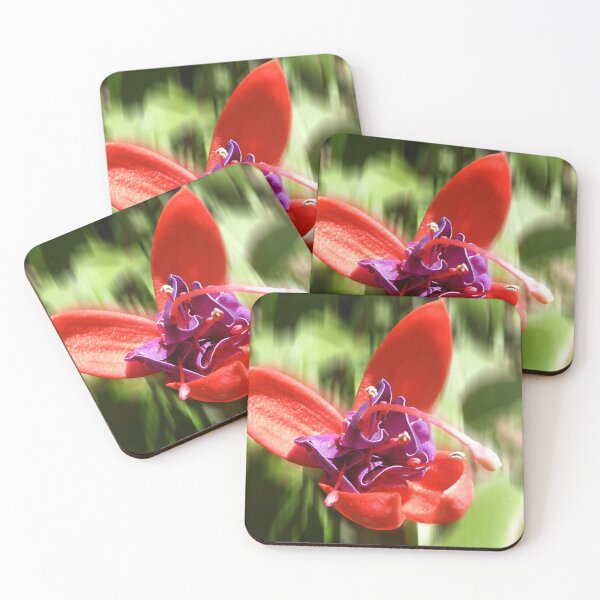 Item preview, Fuscia designed and sold by indiafrankk.