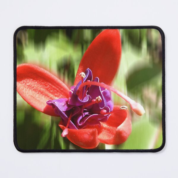Item preview, Fuscia designed and sold by indiafrankk.