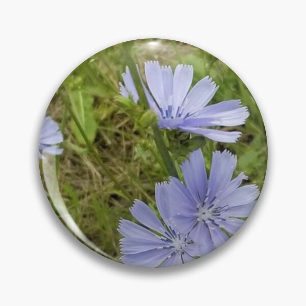 Item preview, Chicory 3 designed and sold by gratogratto.