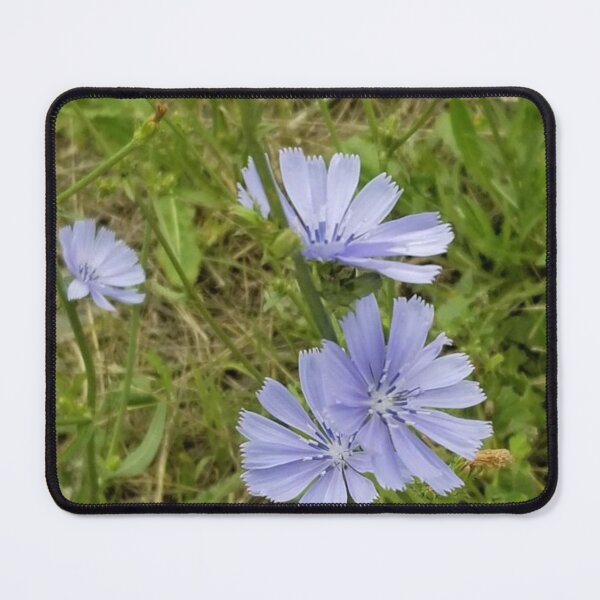 Item preview, Chicory 3 designed and sold by gratogratto.