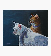 Vanishing Point Photographic Print