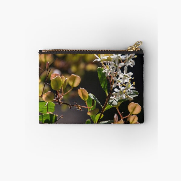 Item preview, Flowers and seed heads white Microphylla clematis bush DCT 20150128 1468  designed and sold by Fred Mitchell.