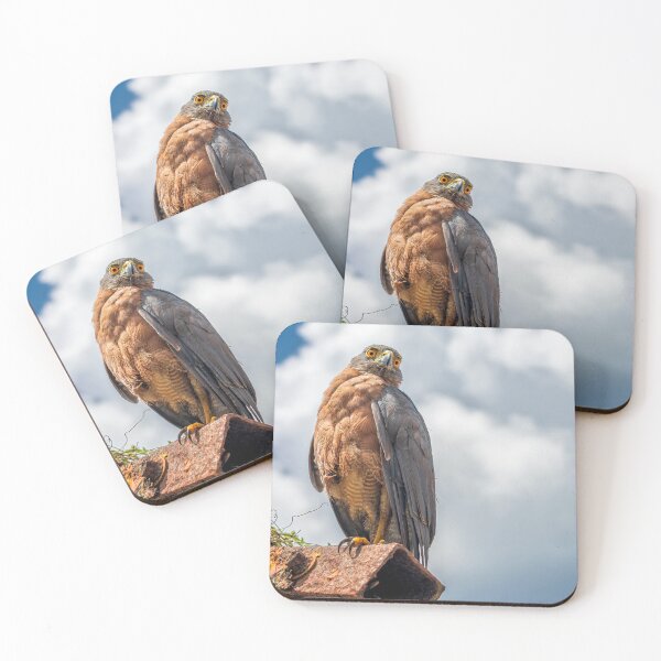 Item preview, Christmas Island Goshawk designed and sold by JohnKarmouche.