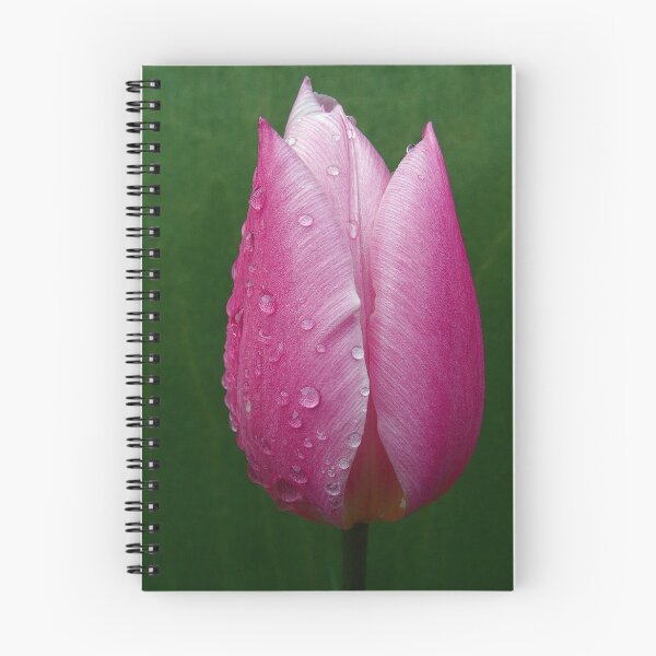 Item preview, Droplets on a Pink Tulip designed and sold by Forfarlass.