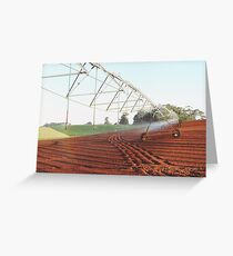 Irrigation Greeting Card