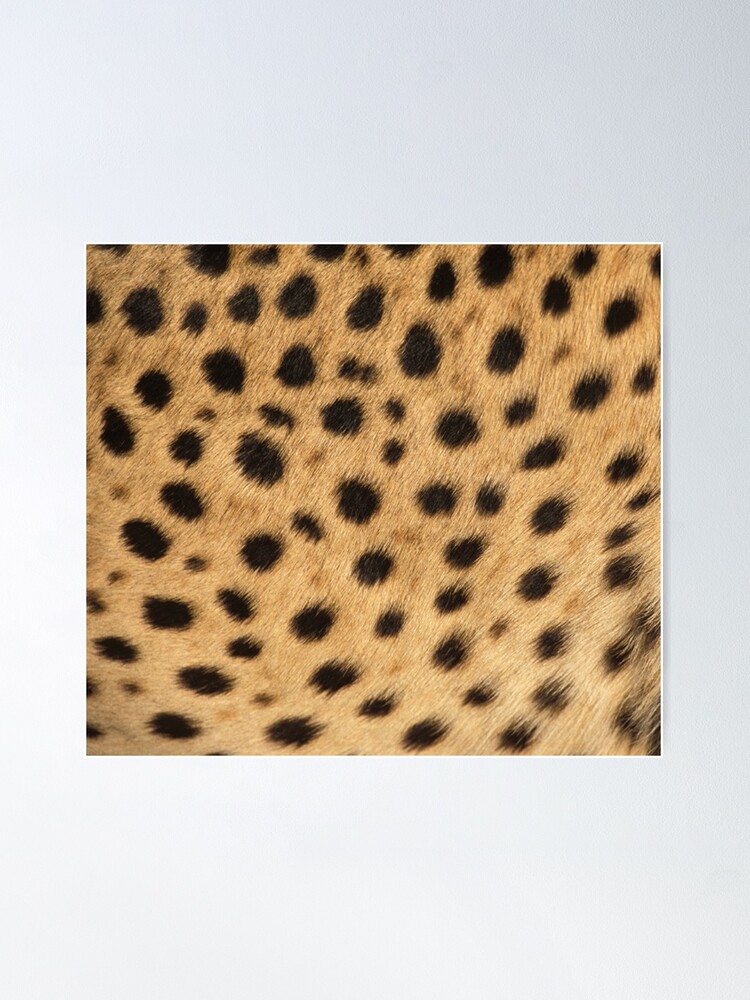 Black Leopard Print, Black Cheetah, Black, Leopard Print, Leopard Pattern,  Animal Print | Poster