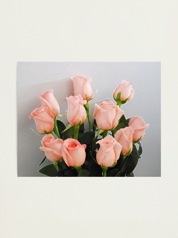 Thumbnail 1 of 3, Photographic Print, Roses designed and sold by VikingHorde.