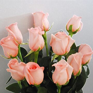Artwork thumbnail, Roses by VikingHorde