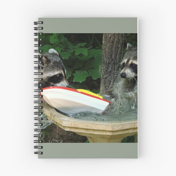 Item preview, Raccoonzilla and Speeding Boat designed and sold by Jean Gregory Evans.