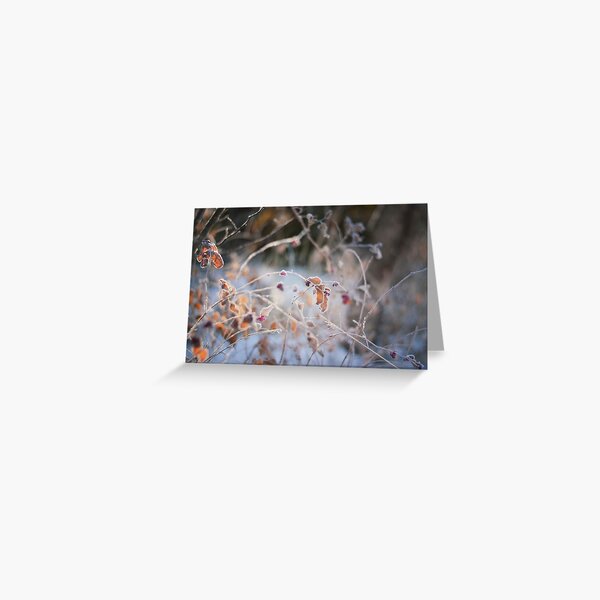 Little Jewels Greeting Card