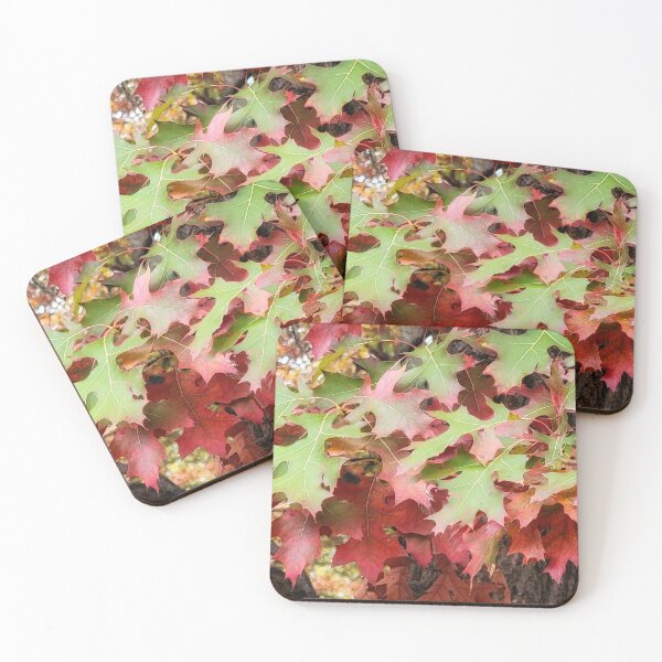 Item preview, Transition designed and sold by shutterbug2010.