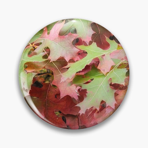 Item preview, Transition designed and sold by shutterbug2010.