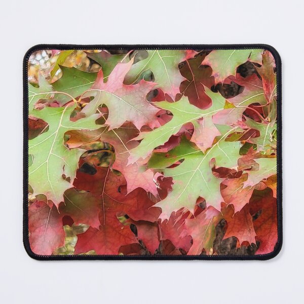 Item preview, Transition designed and sold by shutterbug2010.