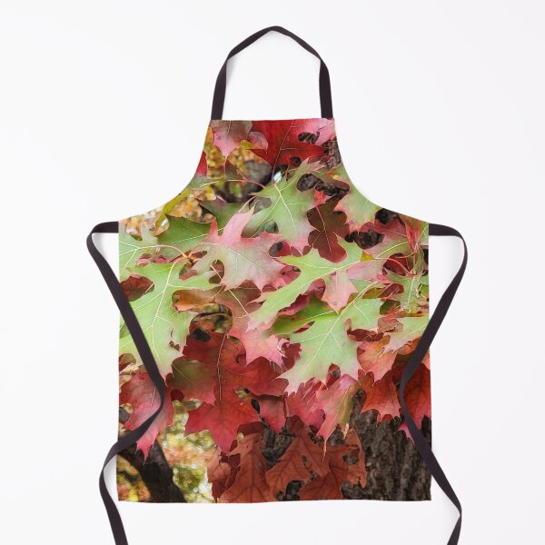 Item preview, Transition designed and sold by shutterbug2010.