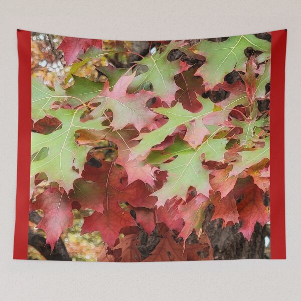 Item preview, Transition designed and sold by shutterbug2010.