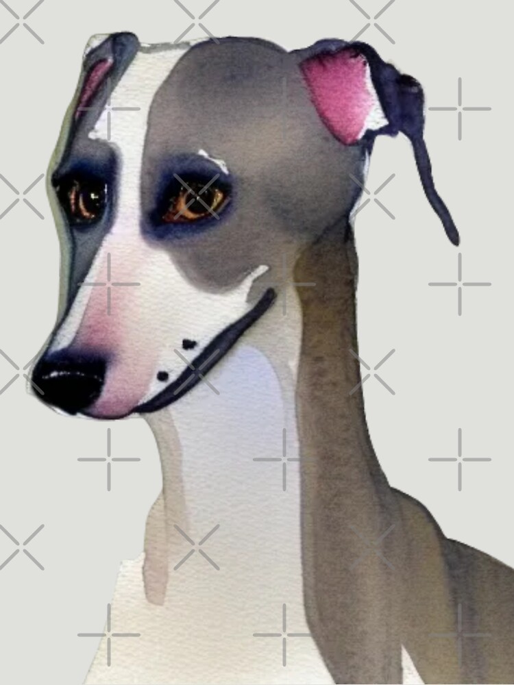 Greyhound Whippet Lurcher Framed & Mounted Print Poster, Artwork. outlet Print of Colourful Watercolor, Gifts Wall Decor