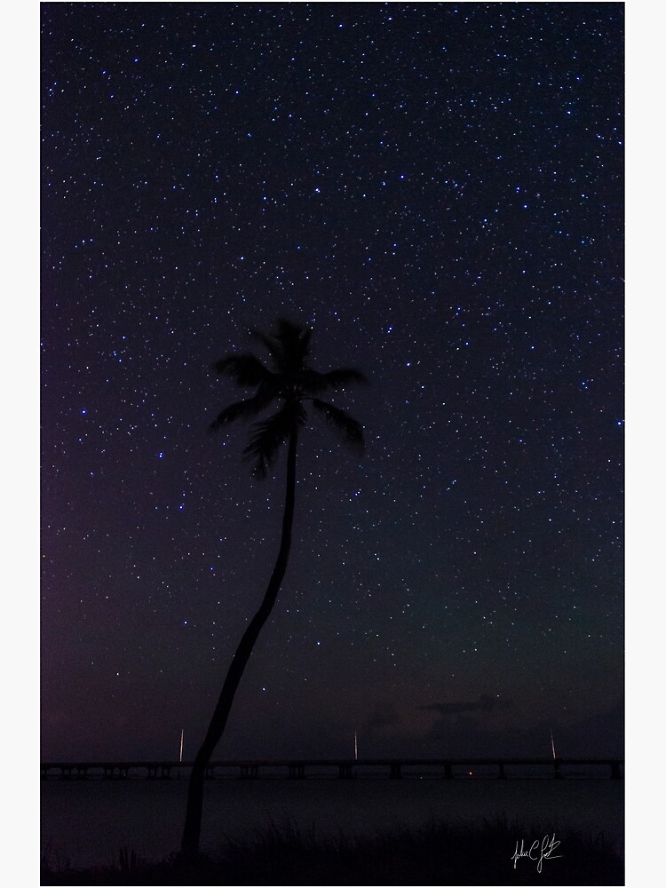 Disover Starry Blue Night in Florida Keys Premium Matte Vertical Poster