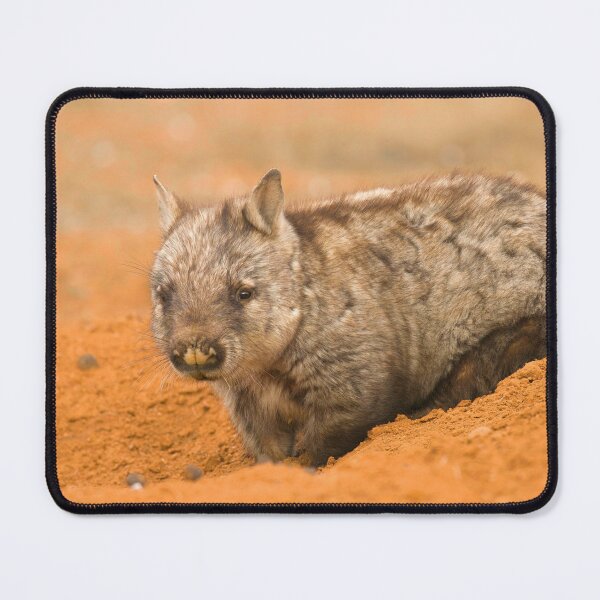 Item preview, Home Is Where Your Hole Is  designed and sold by CBoyle.