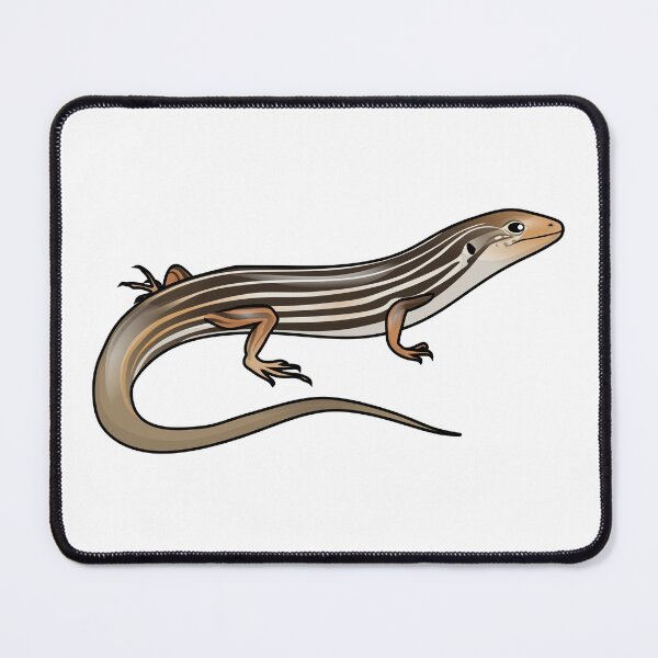 Item preview, Southern Mallee Ctenotus designed and sold by Daniel Terrington.