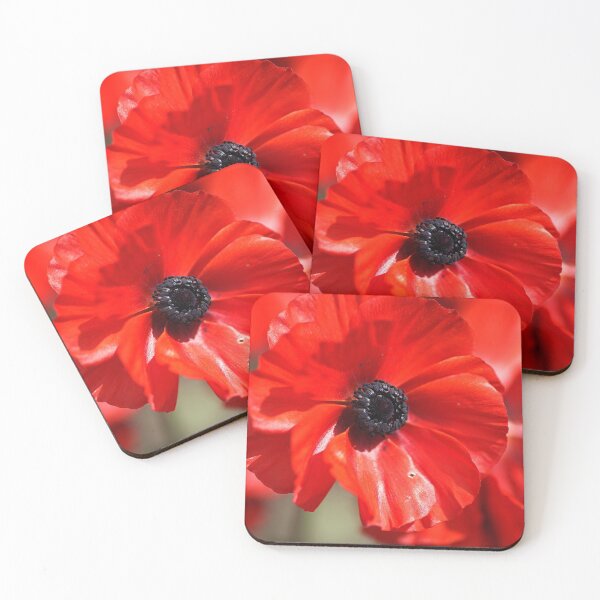 Item preview, Beautiful Red Ranunculus Flowers designed and sold by Joy Watson - Natural Light Photography .