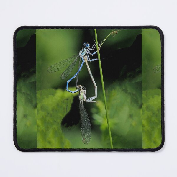 Item preview, r482 / finition 2022: le Coeur des Libellules - Dragonflys  (c)(h)  Okaio Créations  Olavia-Olao designed and sold by o.okaïo.
