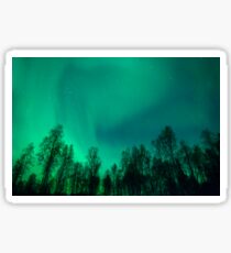 Aurora III Sticker