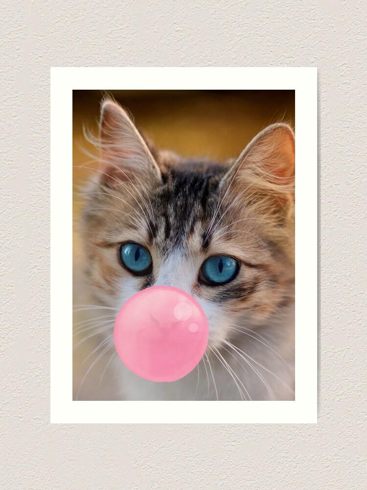 Cat shop chewing gum