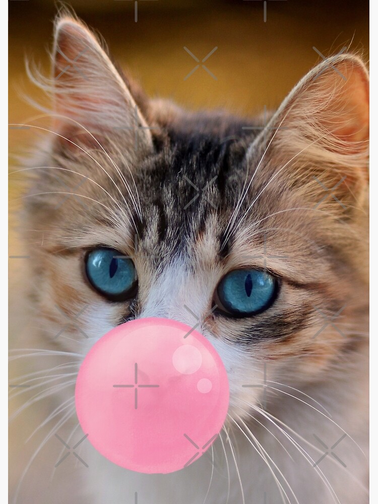 Cat hotsell chewing gum