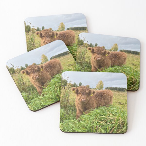 Item preview, Scottish Highland Cattle Calf 4097 designed and sold by SaarelaHighland.