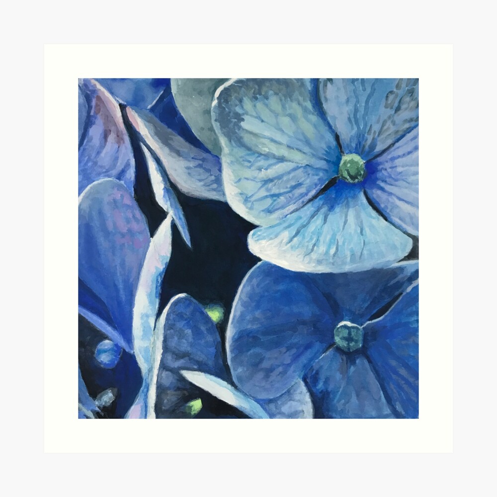Blue Hydrangea Gouache Painting By Samantha J Horne Art Board Print By Samanthajhorne Redbubble
