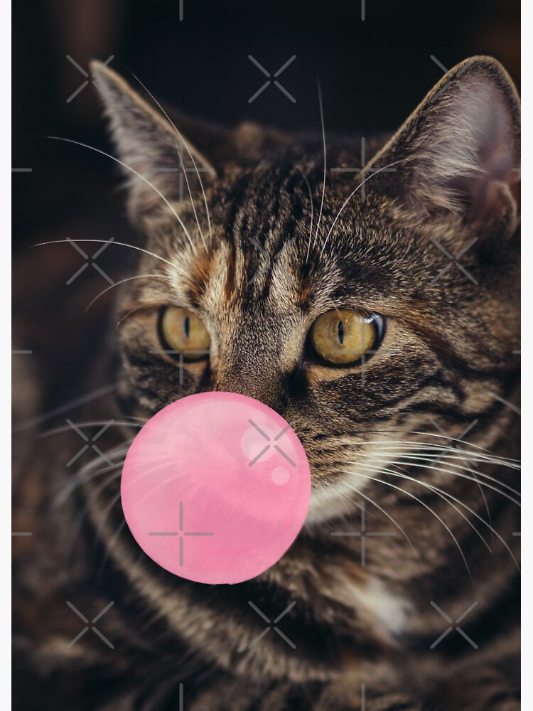 "Brown Cat Chewing Bubble gum" Sticker for Sale by NinniSilver Redbubble