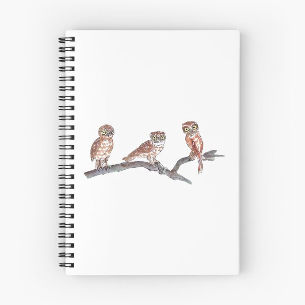 Item preview, Three Southern Boobooks designed and sold by Jen Payne.