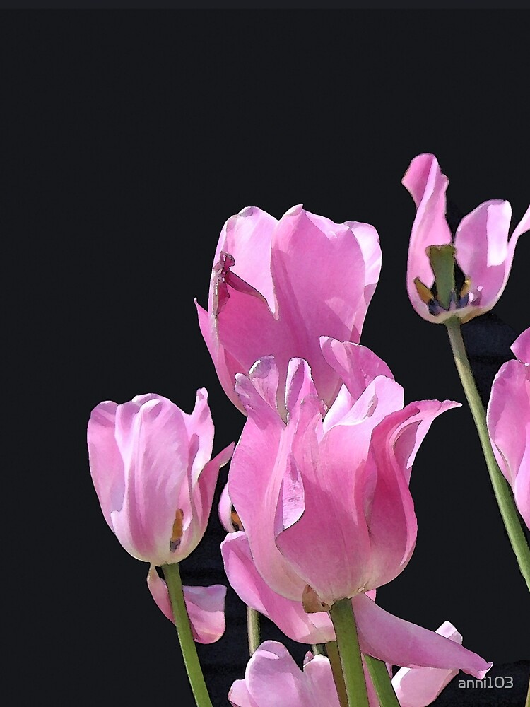 Tulips in the pink by anni103