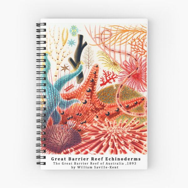 Item preview, The Great Barrier Reef Of Australia By William Saville Kent  designed and sold by Tamas Das.