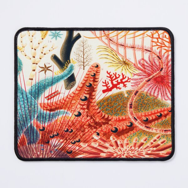 Item preview, The Great Barrier Reef Of Australia By William Saville Kent designed and sold by Tamas Das.