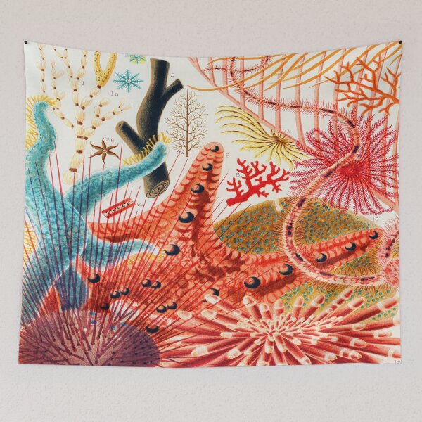 Item preview, The Great Barrier Reef Of Australia By William Saville Kent  designed and sold by Tamas Das.