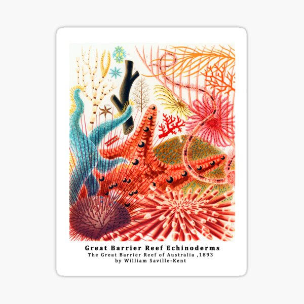 Artikel-Vorschau von Das Great Barrier Reef von Australien von William Saville Kent, designt und verkauft von Tamas Das.