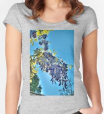 Backlit Wisteria (HDRI) Women's Fitted Scoop T-Shirt