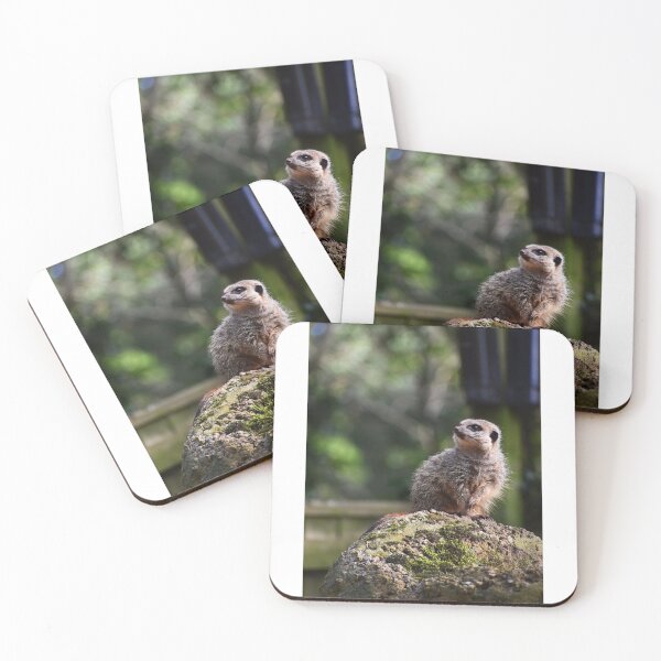 Item preview, Baby Meerkat designed and sold by AngelPhotos.