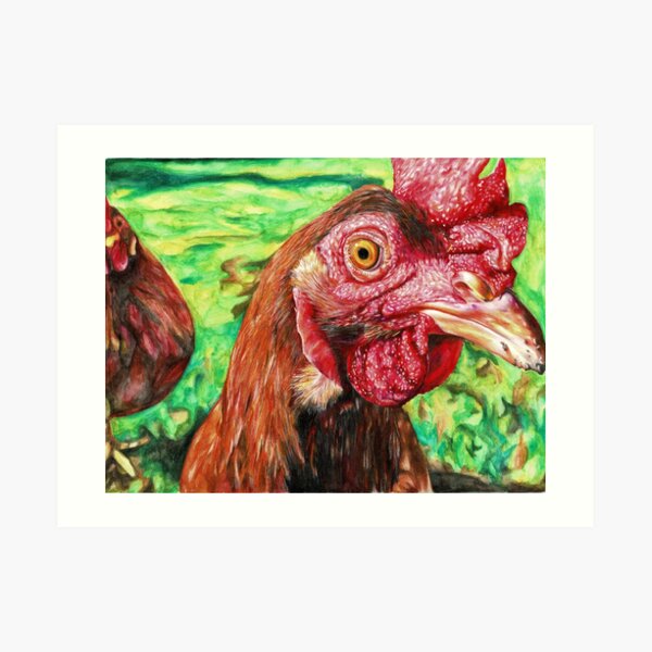 Curious Chicken Art Print