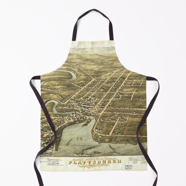 Item preview, Bird's eye view of Plattsburgh, Clinton Co., New York (1877) designed and sold by allhistory.