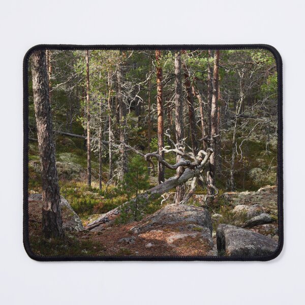 Item preview, Pines forever designed and sold by Jouko Lehto Photography.