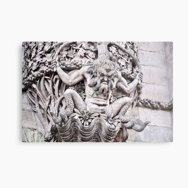Newt Metal Print