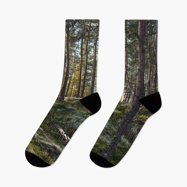 Item preview, Pines in teens designed and sold by Jouko Lehto Photography.