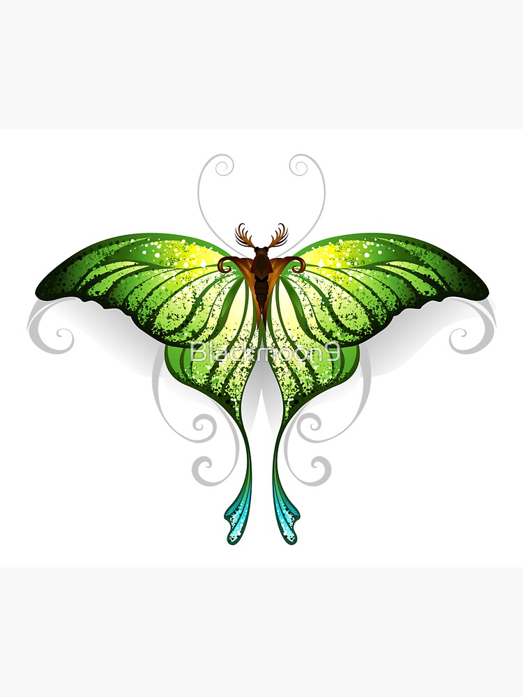 Sticker for Sale mit Grüner Schmetterling (Grüne Schmetterlinge) von  Blackmoon9