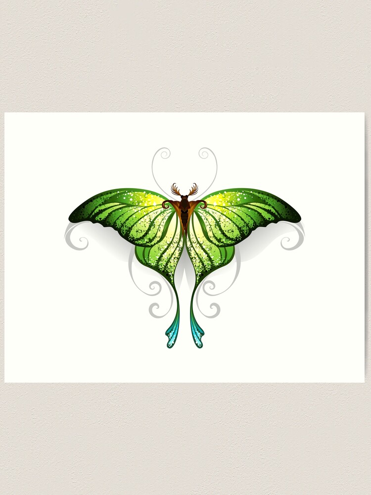 Iridescent Colorful Butterfly 24 in x 32 in Painting Canvas Art Print, by Designart
